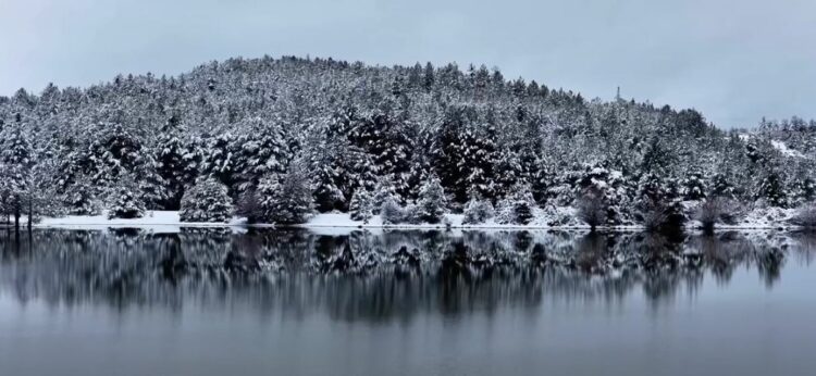 Parashikimi i motit, 14 janar 2026