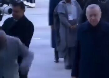 VIDEO/ Presidenti i Nigerisë rrëzohet gjatë takimit me Erdogan