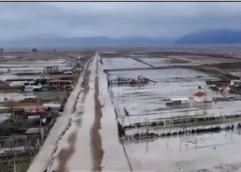 Përmbytjet/ 3100 ha tokë nën ujë në Lezhë