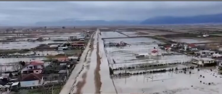 Përmbytjet/ 3100 ha tokë nën ujë në Lezhë