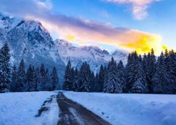 Parashikimi i motit, 15 janar 2026