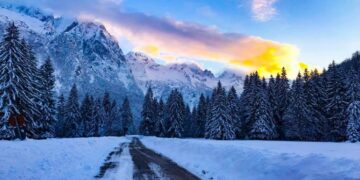 Parashikimi i motit, 15 janar 2026