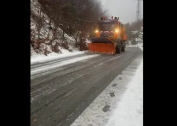 Reshjet e dëborës, ARRSH: Qarkullimi vijon normalisht, grupet e punës në terren