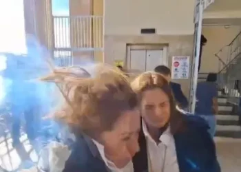 VIDEO/ Po jepte deklaratë për mediat, deputetes i shpërthen eksplozivi në kokë