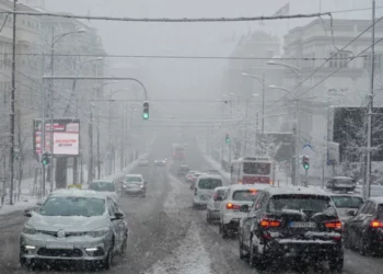 Parashikimi i motit, 11 janar 2026