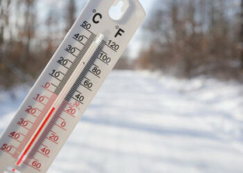 Parashikimi i motit, 12 janar 2026