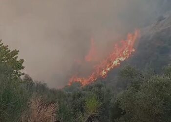 Ministria e Mbrojtjes: Mbi 345 milionë lekë për të dëmtuarit nga zjarret e verës