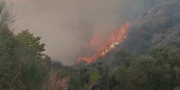 Ministria e Mbrojtjes: Mbi 345 milionë lekë për të dëmtuarit nga zjarret e verës