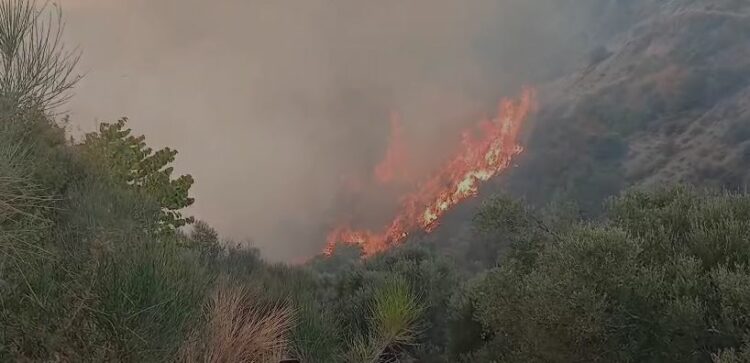 Ministria e Mbrojtjes: Mbi 345 milionë lekë për të dëmtuarit nga zjarret e verës