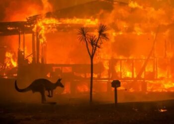 Ngrin Amerika, digjet Australia/ Temperatura arrijnë rekordin 48 gradë celsius