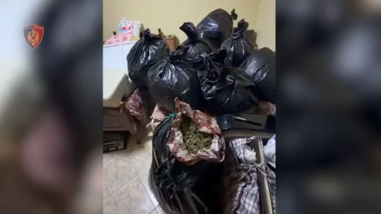Sekuestrohen 57 kg kanabis, arrestohen dy persona në Vlorë