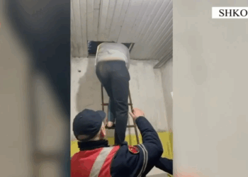 Tentoi të grabiste postën nën kërcënimin e thikës, pranga 24-vjeçarit në Shkodër