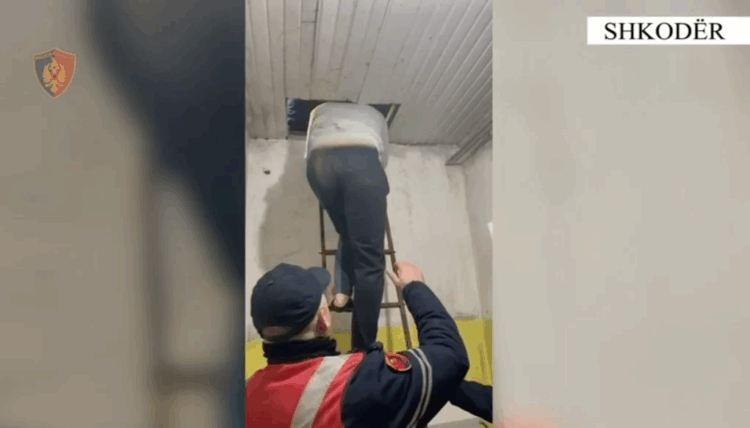 Tentoi të grabiste postën nën kërcënimin e thikës, pranga 24-vjeçarit në Shkodër