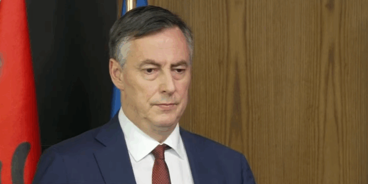 “Balluku”,  McAllister: Një test kritik për Shqipërinë në adresimin e korrupsionit