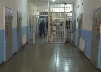 Drafti i Amnistisë Penale, cilat janë kategoritë që përfitojnë, përjashtohen…