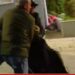 Fotolajm/Qytetari humb ndjenjat në protestë, merret me ambulancë