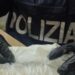 Trafik droge në Itali, arrestohen tre shqiptarë