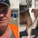 Vlorë/ Pitbulli kafshoi 4-vjeçaren, flet qytetari hero që e shpëtoi: E kapi nga koka