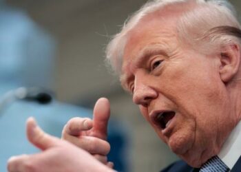 Trump njofton vrasjen e numrit dy të ISIS-it që fshihej në Nigeri