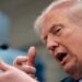 Trump njofton vrasjen e numrit dy të ISIS-it që fshihej në Nigeri