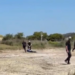 Arrestohet punonjësi i shoqërisë private që goditi me grusht protestuesin në Zvërnec