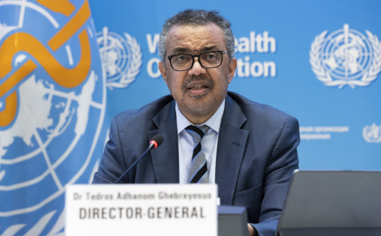 Kreu i OBSH: Të ketë armëpushim në Kongo për të frenuar epideminë e Ebolës