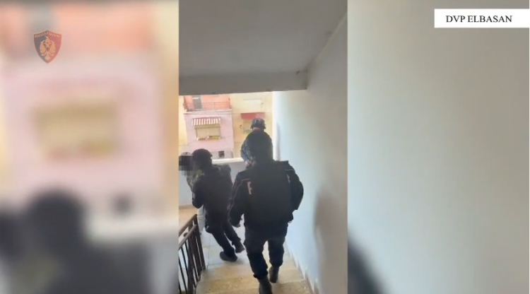 Operacioni antidrogë, Policia: Sekuestrohen 9 kilogramë kanabis, 7 automjete…