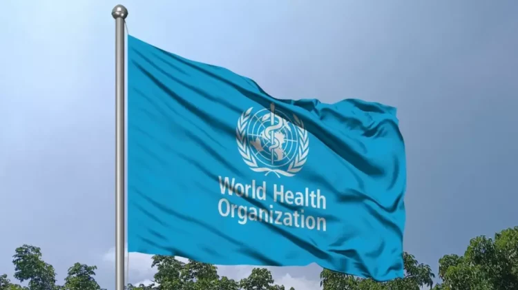 Hantavirusi/ OBSH: Nuk është as fillimi i një epidemie dhe as i një pandemie