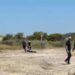 Përplasjet në Zvërnec, kompania: Toka është private. Reagon edhe Policia e Vlorës
