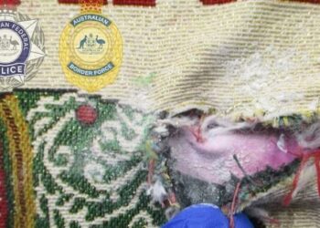 Arrestohet stjuardesa në Australi, i zbulohet heroinë me vlerë 302 mijë euro
