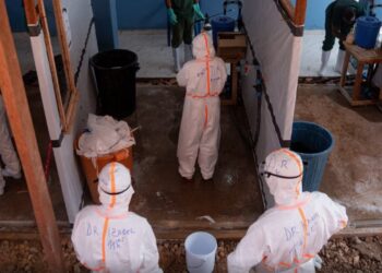 Alarm në Francë/ Konfirmohet rasti i parë i Ebolës, pacienti nën izolim të plotë