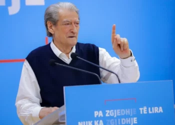Berisha: Trafikantët e 50 tonëve kokainë blenë 15 mijë m2 tokë për 54 mijë euro