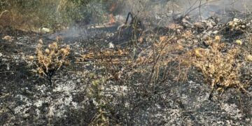 Zjarr pranë varrezave të fshatit Zenelaj në Gjirokastër