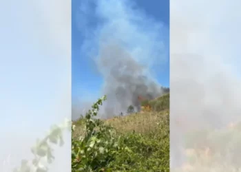 Zjarr i përmasave të mëdha në Cërrik, 21 zjarrfikës në terren