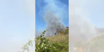 Zjarr i përmasave të mëdha në Cërrik, 21 zjarrfikës në terren