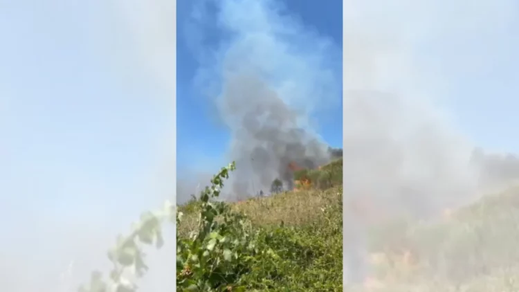 Zjarr i përmasave të mëdha në Cërrik, 21 zjarrfikës në terren