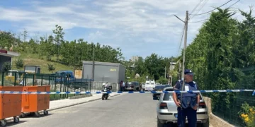 Vrasja me armë zjarri pranë Paskuqanit, Policia: Konflikti nisi për…