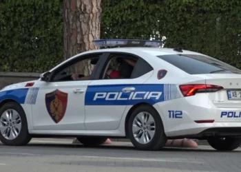 Dyshohet se vrau me thikë nënën e saj, pë pranga 57-vjeçarja në Kurbin