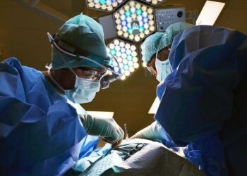 Kina kryen transplantin e parë të mëlçisë dhe veshkave të derrit te një pacient