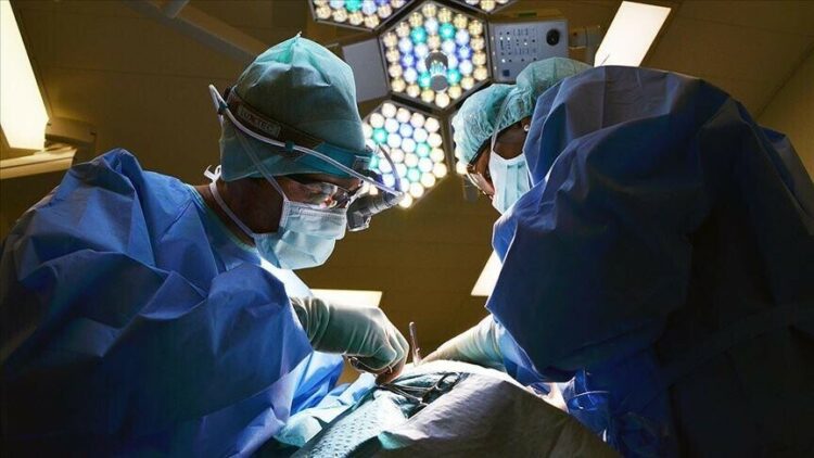 Kina kryen transplantin e parë të mëlçisë dhe veshkave të derrit te një pacient