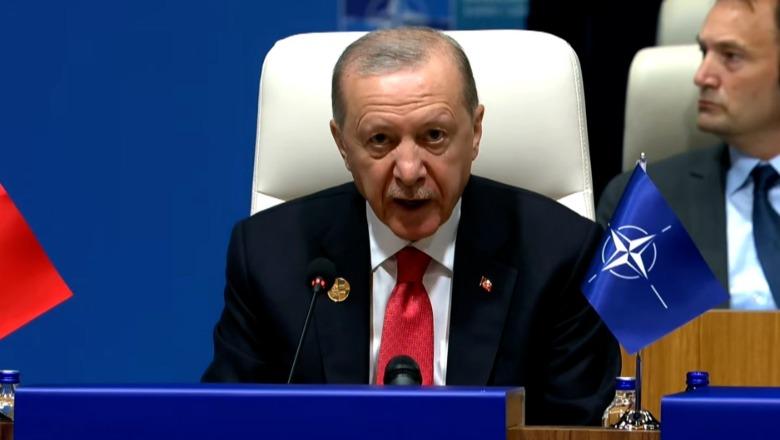 Erdogan në samitin e NATO-s: Turqia mbështet Ukrainën dhe thirret për paqe SHBA-Iran 