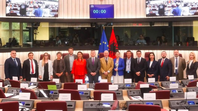 Parlamentarët e pakicës votuan kundër në Strasburg, Rama: Të gjithë eurodeputetët pro Shqipërisë
