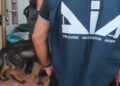 Droga nga Shqipëria drejt Italisë me autobusë linje, 23 persona të arrestuar