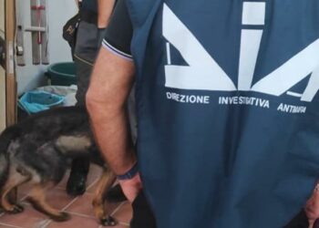 Droga nga Shqipëria drejt Italisë me autobusë linje, 23 persona të arrestuar