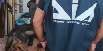 Droga nga Shqipëria drejt Italisë me autobusë linje, 23 persona të arrestuar