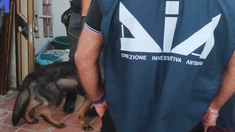 Droga nga Shqipëria drejt Italisë me autobusë linje, 23 persona të arrestuar