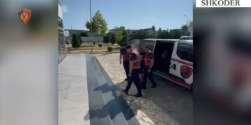I riu plagos me thikë 32-vjeçarin në Shkodër, i vëllai tenton të vrasë autorin