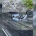 Shkodër, guri shkëputet nga një masiv shkëmbor dhe bie mbi makinën me turistë