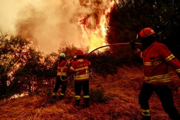Zjarret përfshijnë Francën, Spanjën dhe Portugalinë, mijëra banorë evakuohen