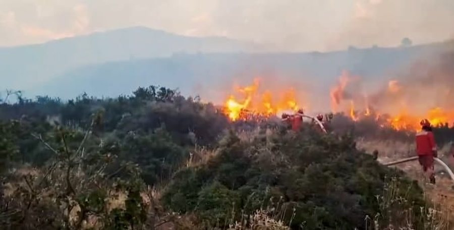  Zjarrvënia është krim   Lamallari qytetarëve  Dënohet deri në 15 vite burg